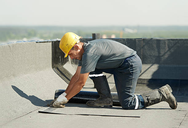 Best Insulation Maintenance and Repair in Dalton Gardens, ID